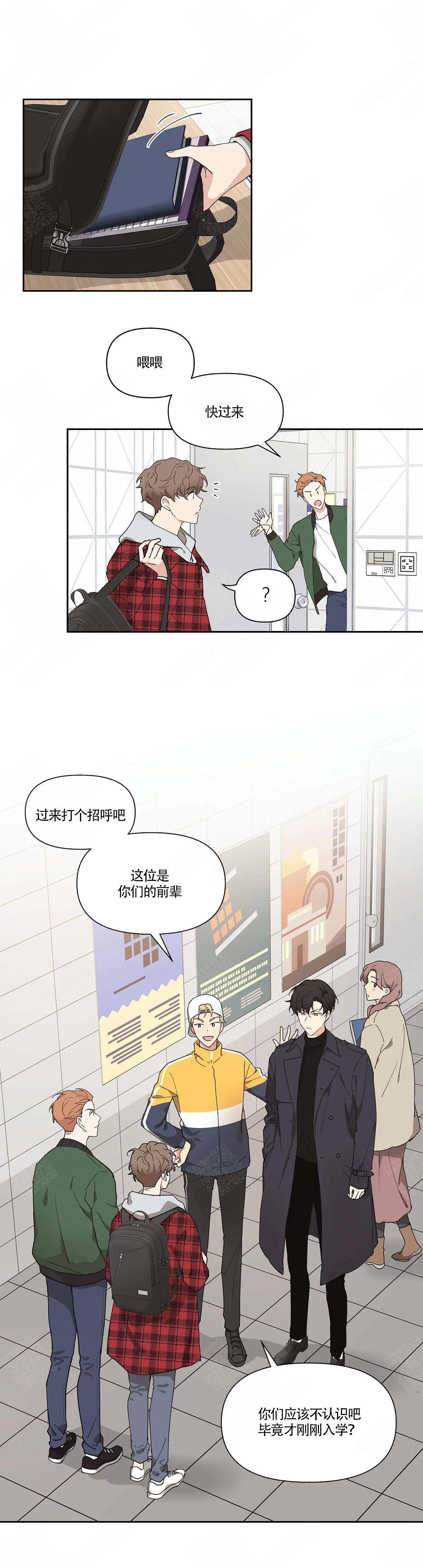 主人的私情完结漫画,第1话4图