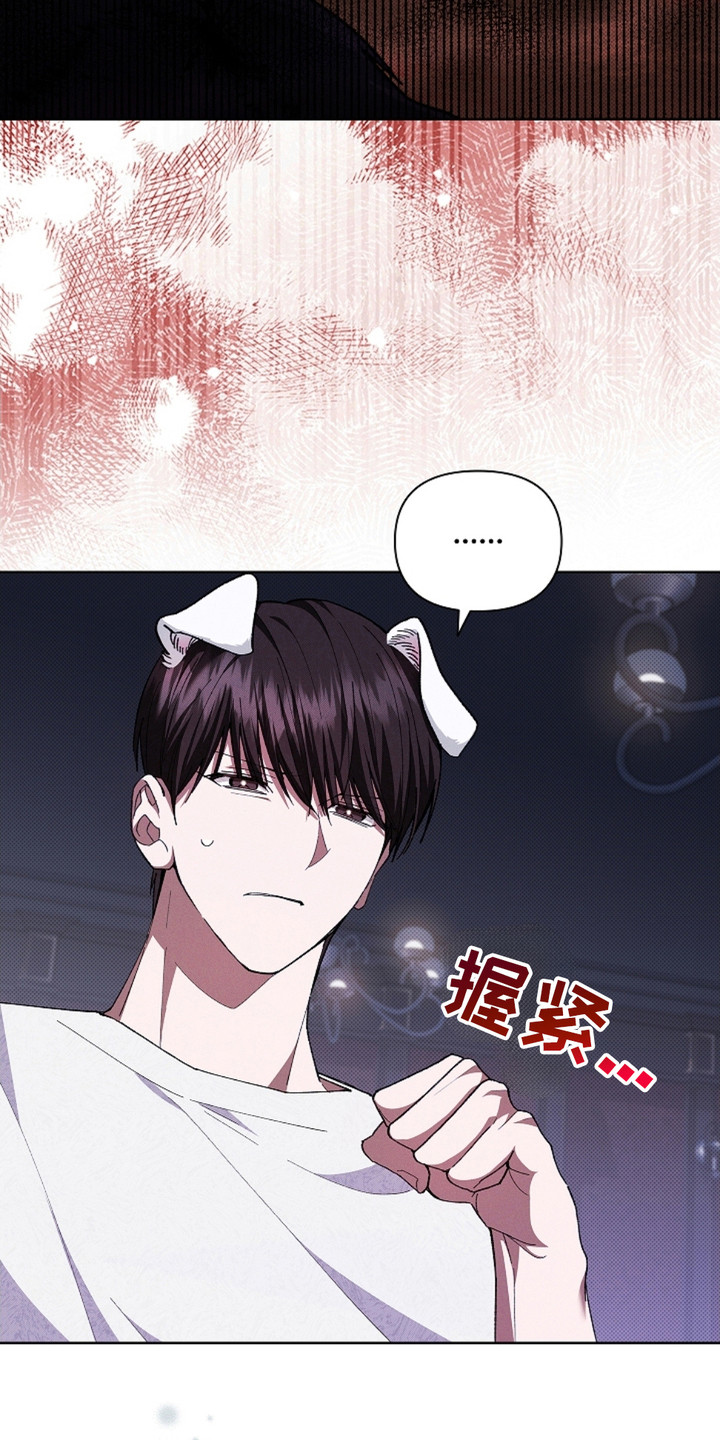 小白狗奇遇记小说全文漫画,第3话3图