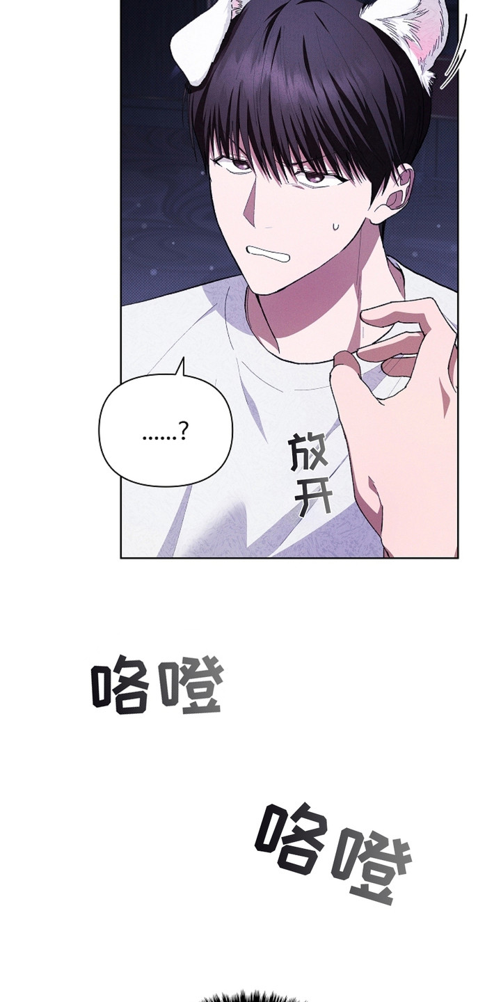 小白狗奇遇记小说全文漫画,第3话3图