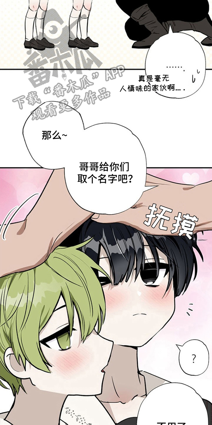 英雄你过来啊漫画,第8话5图