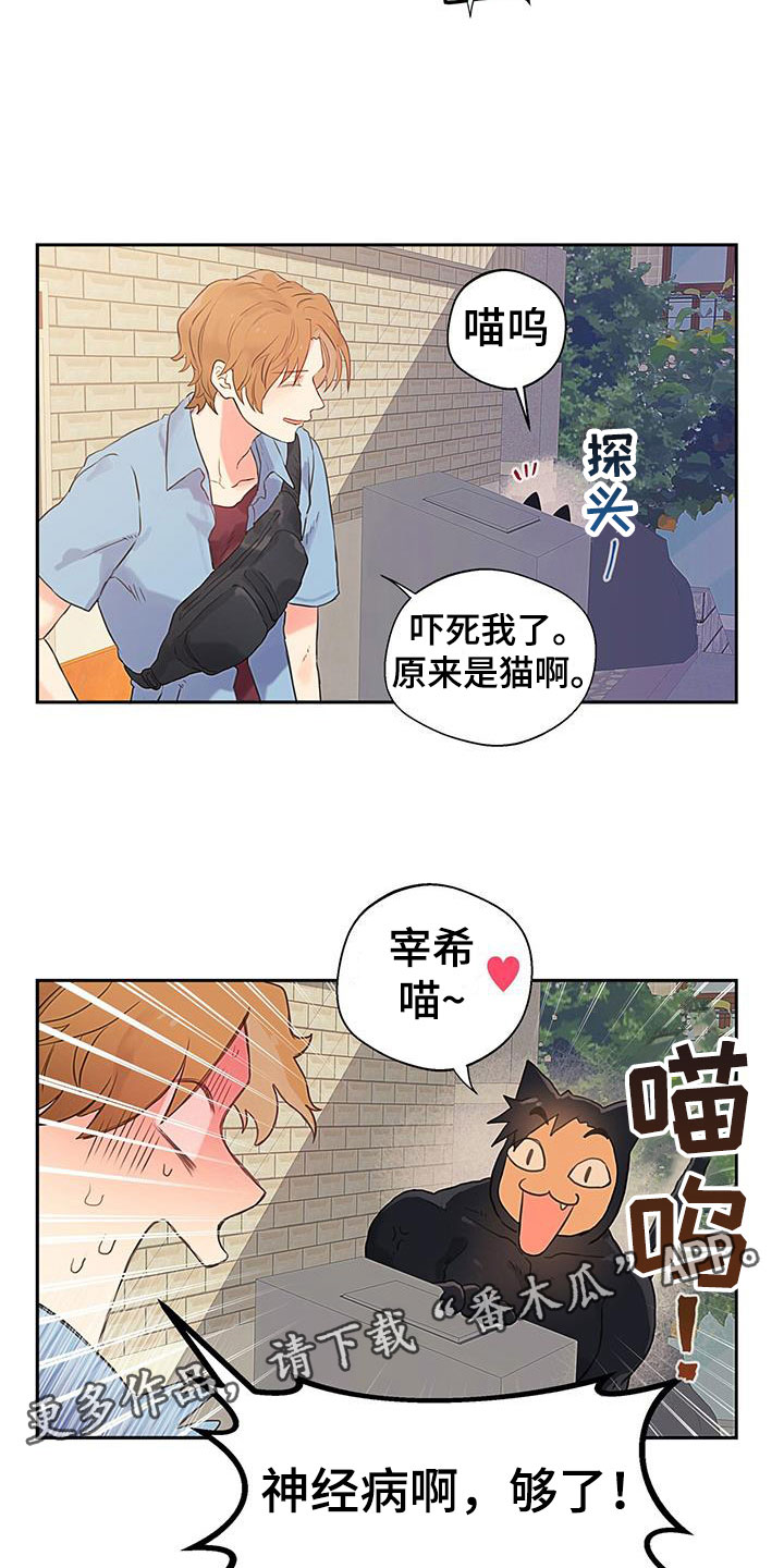 警官别跑韩漫又叫啥漫画,第4话4图