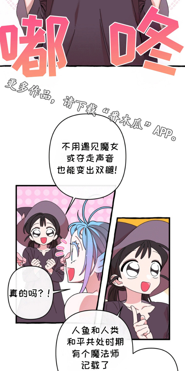 美人鱼的探讨漫画,第7话1图