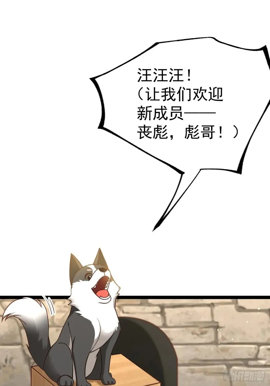 正义系统小说漫画,汪汪汪2图