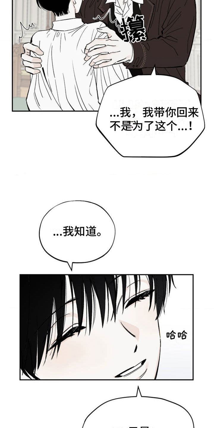 激智科技股票漫画,第1话1图