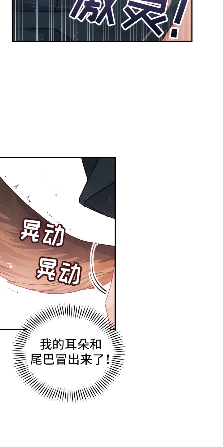 危险接触漫画无删减在线阅读漫画,第1话1图