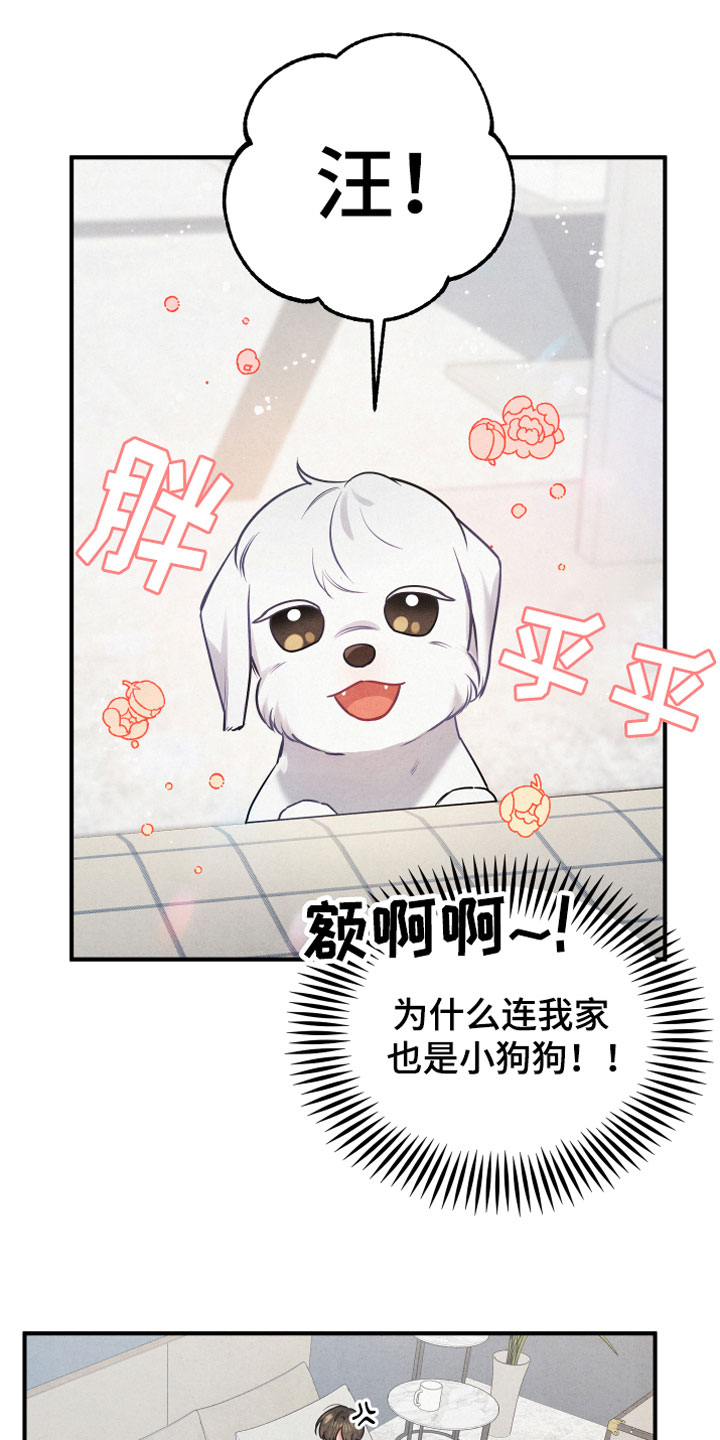 飞机危险接近判定标准表漫画,第1话1图