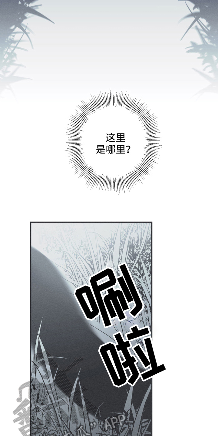 蛇环有什么讲究漫画,第9话4图