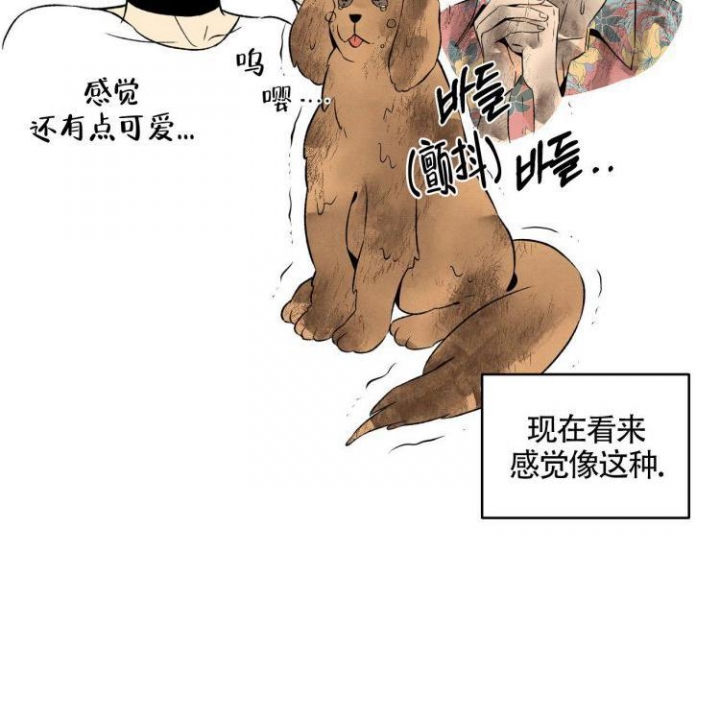 祝你好运连连英语怎么说漫画,第2话1图