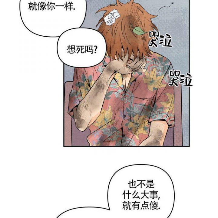 祝你好运 英文漫画,第3话5图