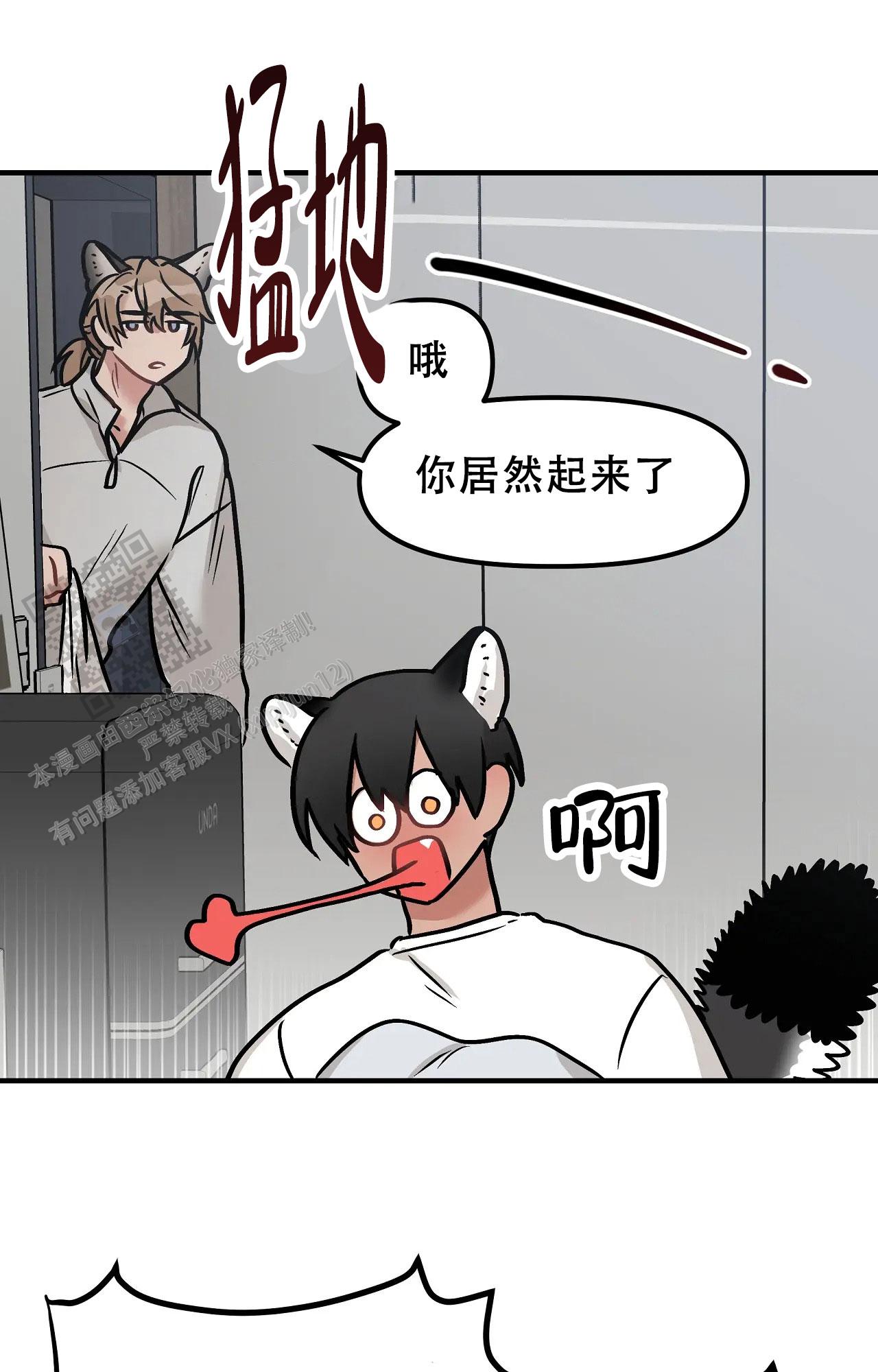 胆怯的老虎漫画全文阅读漫画,第5话3图