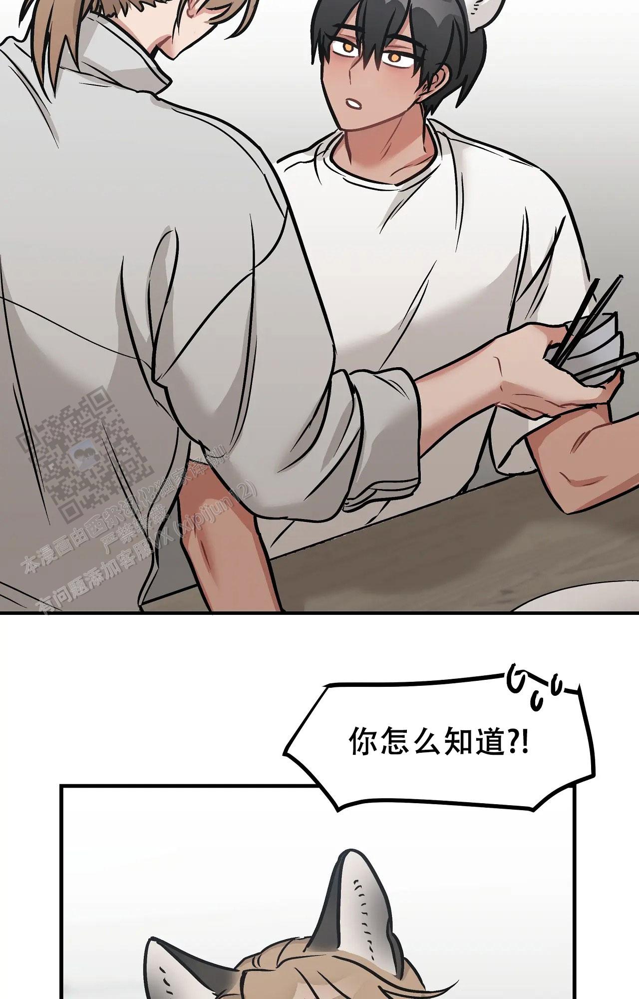 胆怯的老虎漫画全文阅读漫画,第6话2图