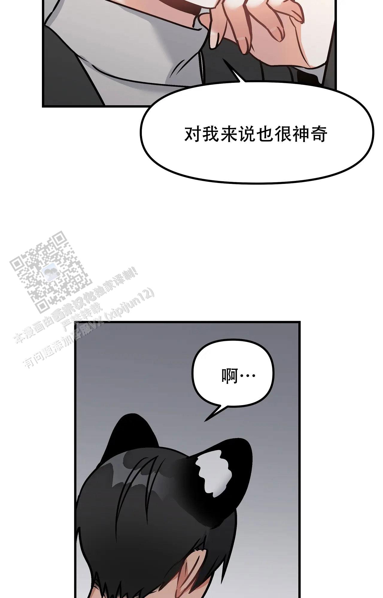 胆怯的老虎漫画全文阅读漫画,第8话3图