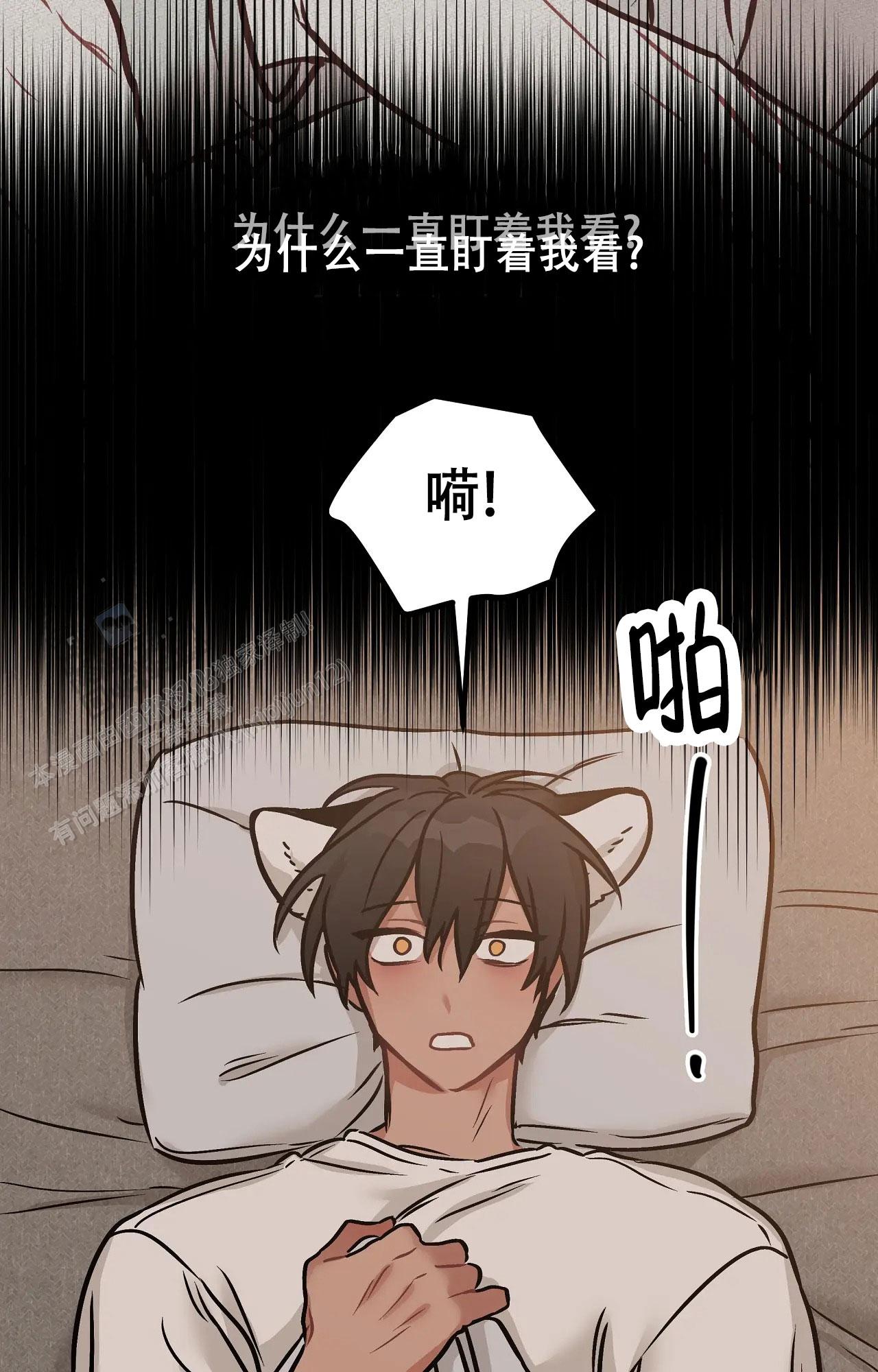 胆怯的老虎又叫什么名字漫画,第5话4图